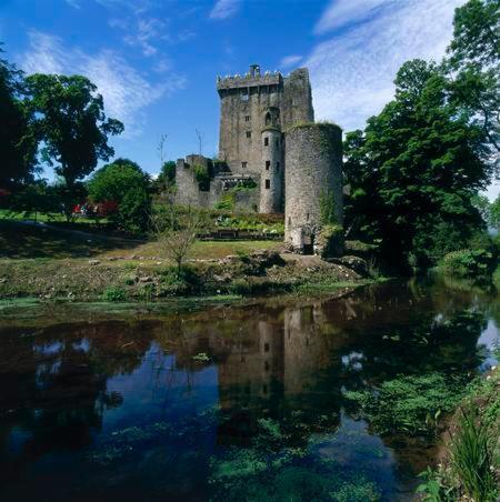 Lanesville B&B Blarney Eksteriør bilde